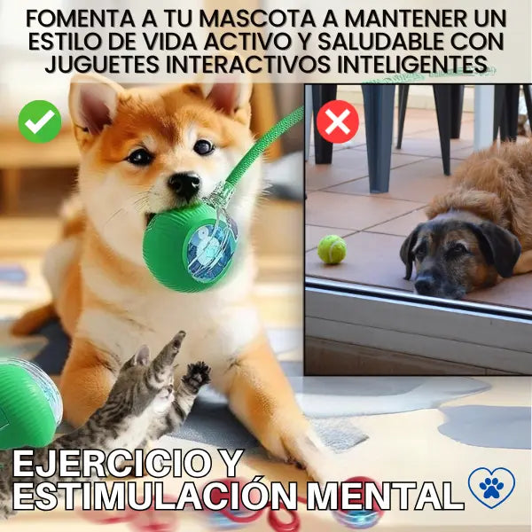 ¡Reduce la Ansiedad por la Separación en tu Mascota!
