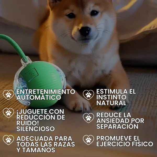 ¡Reduce la Ansiedad por la Separación en tu Mascota!