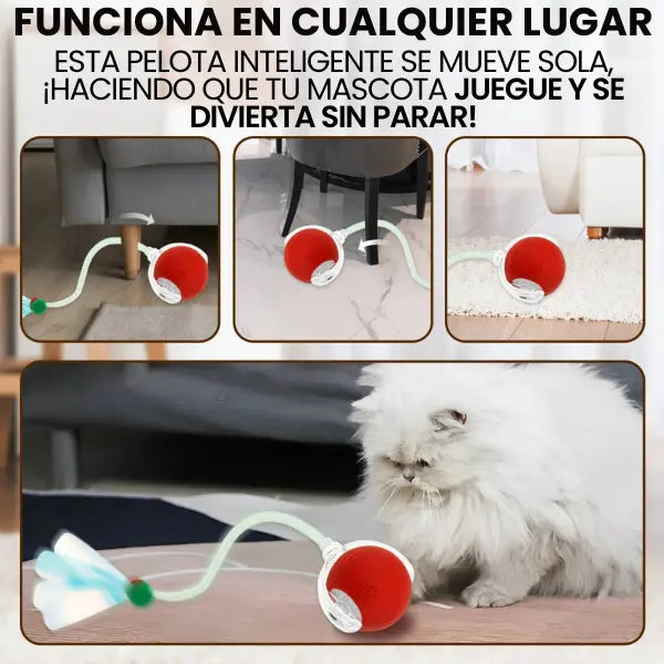 ¡Reduce la Ansiedad por la Separación en tu Mascota!