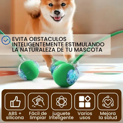 ¡Reduce la Ansiedad por la Separación en tu Mascota!