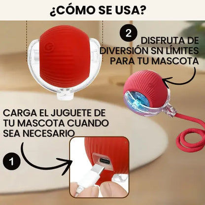 ¡Reduce la Ansiedad por la Separación en tu Mascota!