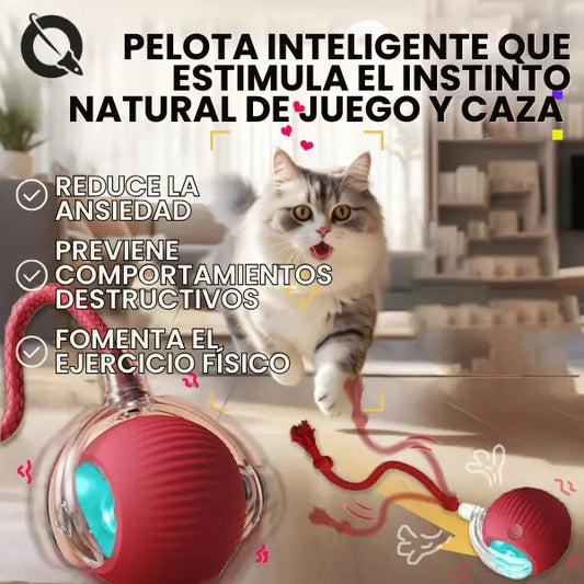 ¡Reduce la Ansiedad por la Separación en tu Mascota!